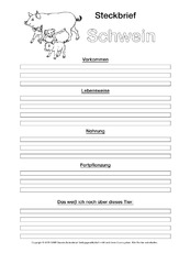 Schwein-Steckbriefvorlage-sw-2.pdf